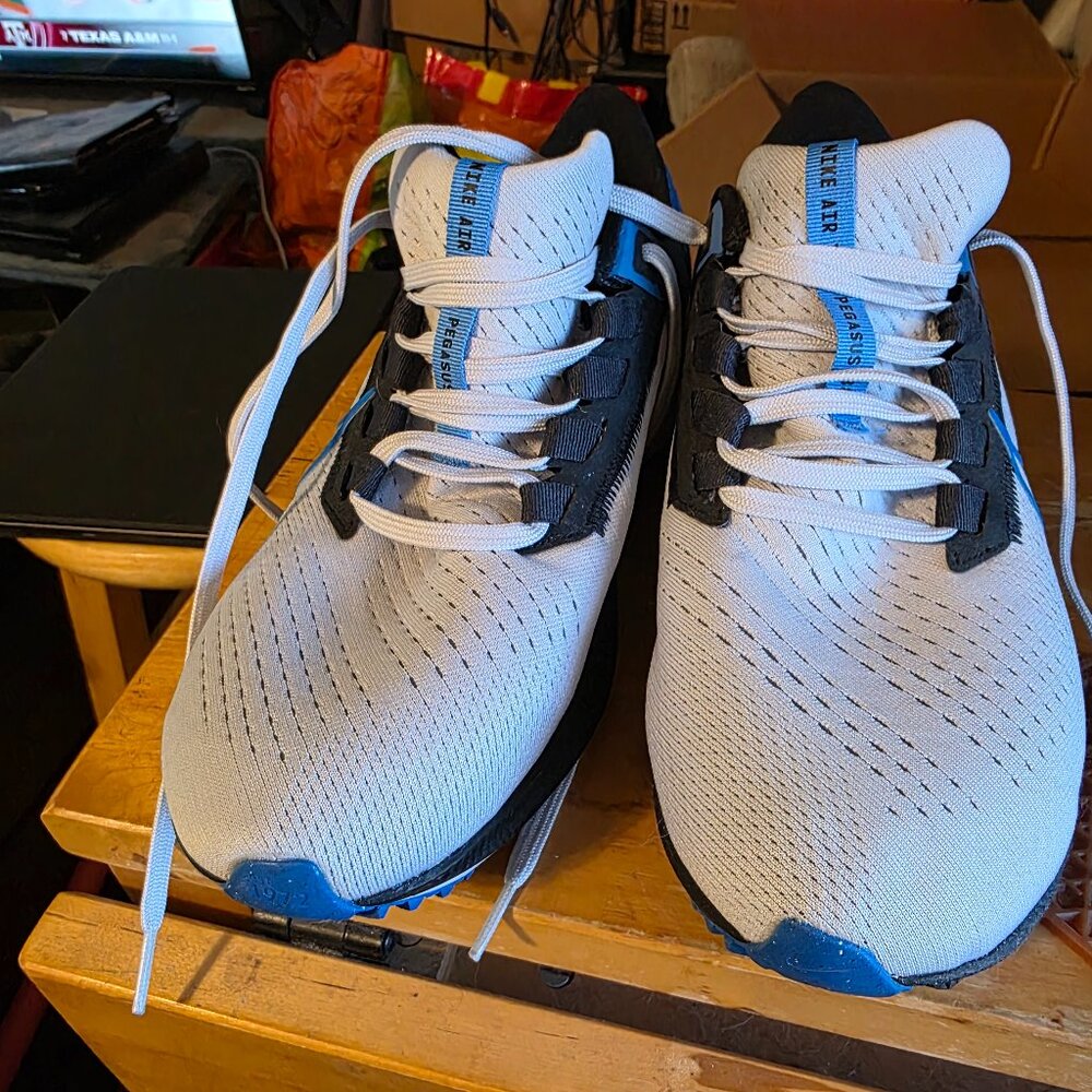 Men's size 9.5 Nike Air Pegasus 38